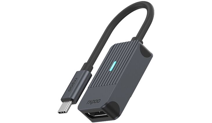 Rapoo 217686 USB-C>DisplayPort Adapter