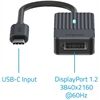Rapoo 217686 USB-C>DisplayPort Adapter