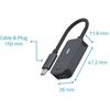 Rapoo 217686 USB-C>DisplayPort Adapter