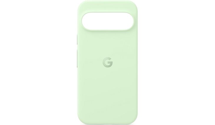 Google Case