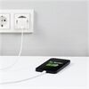 Hama 201650 Mini-Schnellladegerät USB-C (20W)