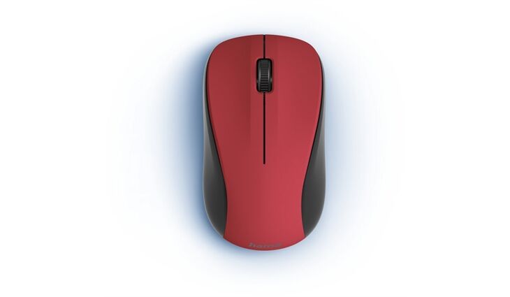 Hama 173022 MW-300 V2
