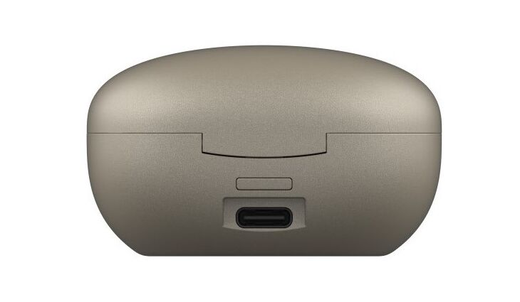 Fresh ´n Rebel Twins Rise ANC