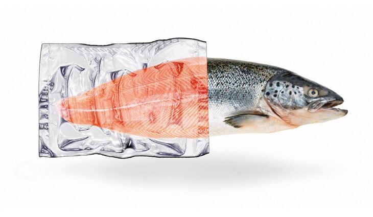 Caso Folienrolle 30x600 - 2Stk.