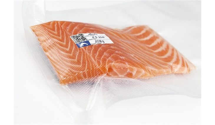 Caso Folienrolle 30x600 - 2Stk.