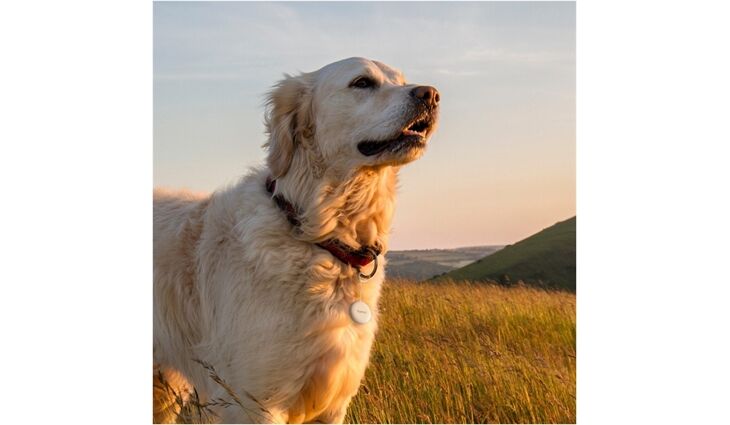 Hama Schlüsselfinder