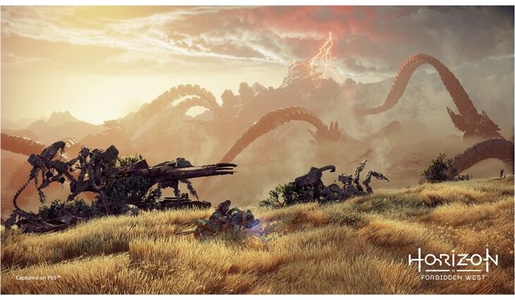 Sony PS5 Horizon Forbidden West