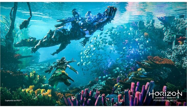 Sony PS5 Horizon Forbidden West