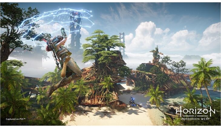 Sony PS5 Horizon Forbidden West