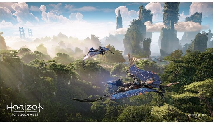 Sony PS5 Horizon Forbidden West