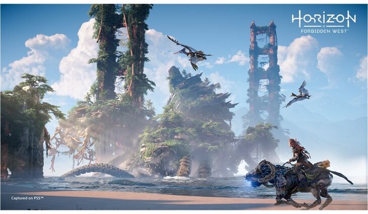 Sony PS5 Horizon Forbidden West