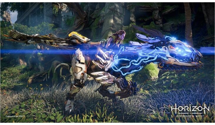 Sony PS5 Horizon Forbidden West