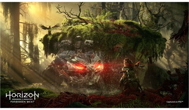 Sony PS5 Horizon Forbidden West