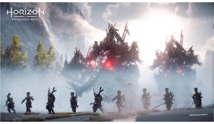 Sony PS5 Horizon Forbidden West