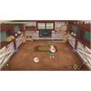 Nintendo SWITCH Story of Seasons A Wonderful Life