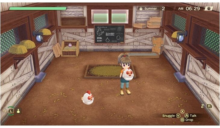 Nintendo SWITCH Story of Seasons A Wonderful Life