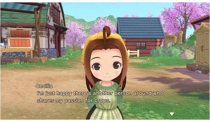 Nintendo SWITCH Story of Seasons A Wonderful Life