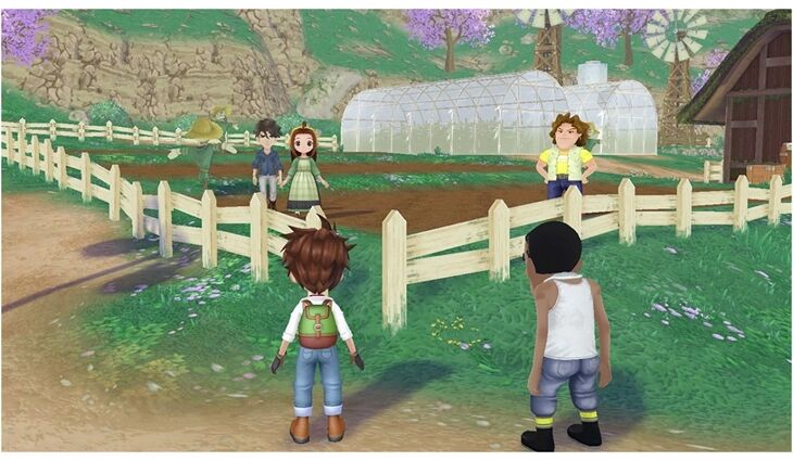Nintendo SWITCH Story of Seasons A Wonderful Life
