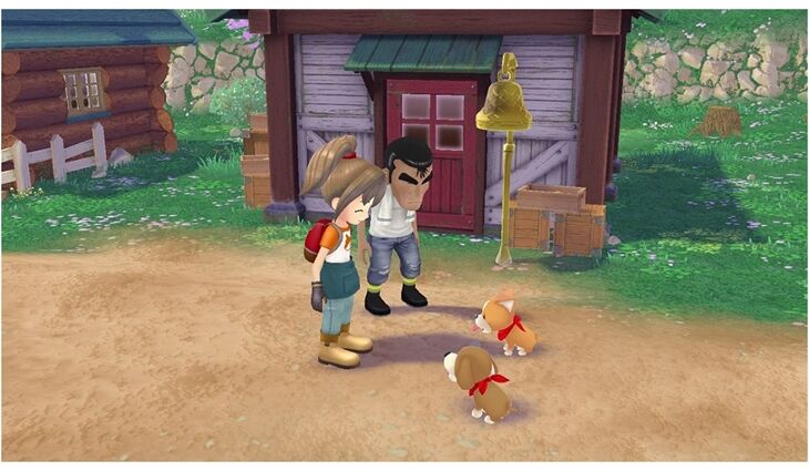 Nintendo SWITCH Story of Seasons A Wonderful Life
