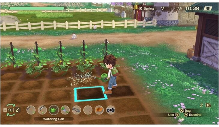 Nintendo SWITCH Story of Seasons A Wonderful Life