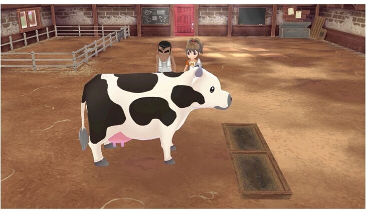 Nintendo SWITCH Story of Seasons A Wonderful Life