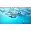 SOFTWAREPY SWITCH Ice Age: Scrats nussiges Abenteuer